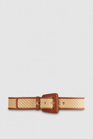 Patrizia Pepe High Waist Fabric Belt Marrom | 3289-KBARD